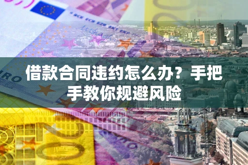武汉借款合同违约怎么办？手把手教你规避风险